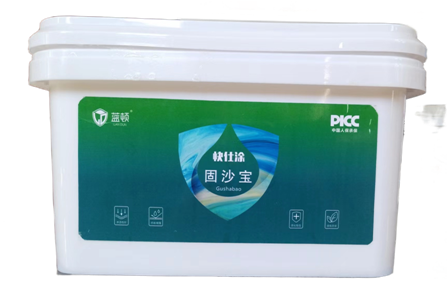 LD-3702 快仕涂固沙寶5KG